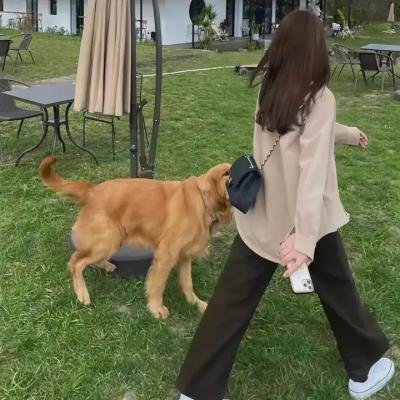 虐会